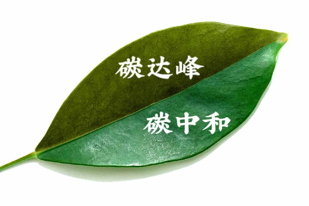 一钛全方面赋能白酒厂节能减排（余热回收）